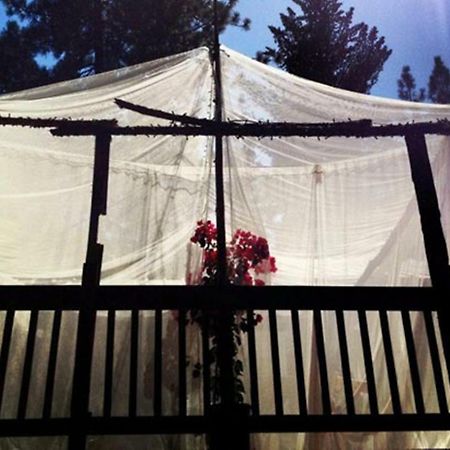 The Red Rooster Lodge Coulterville Εξωτερικό φωτογραφία