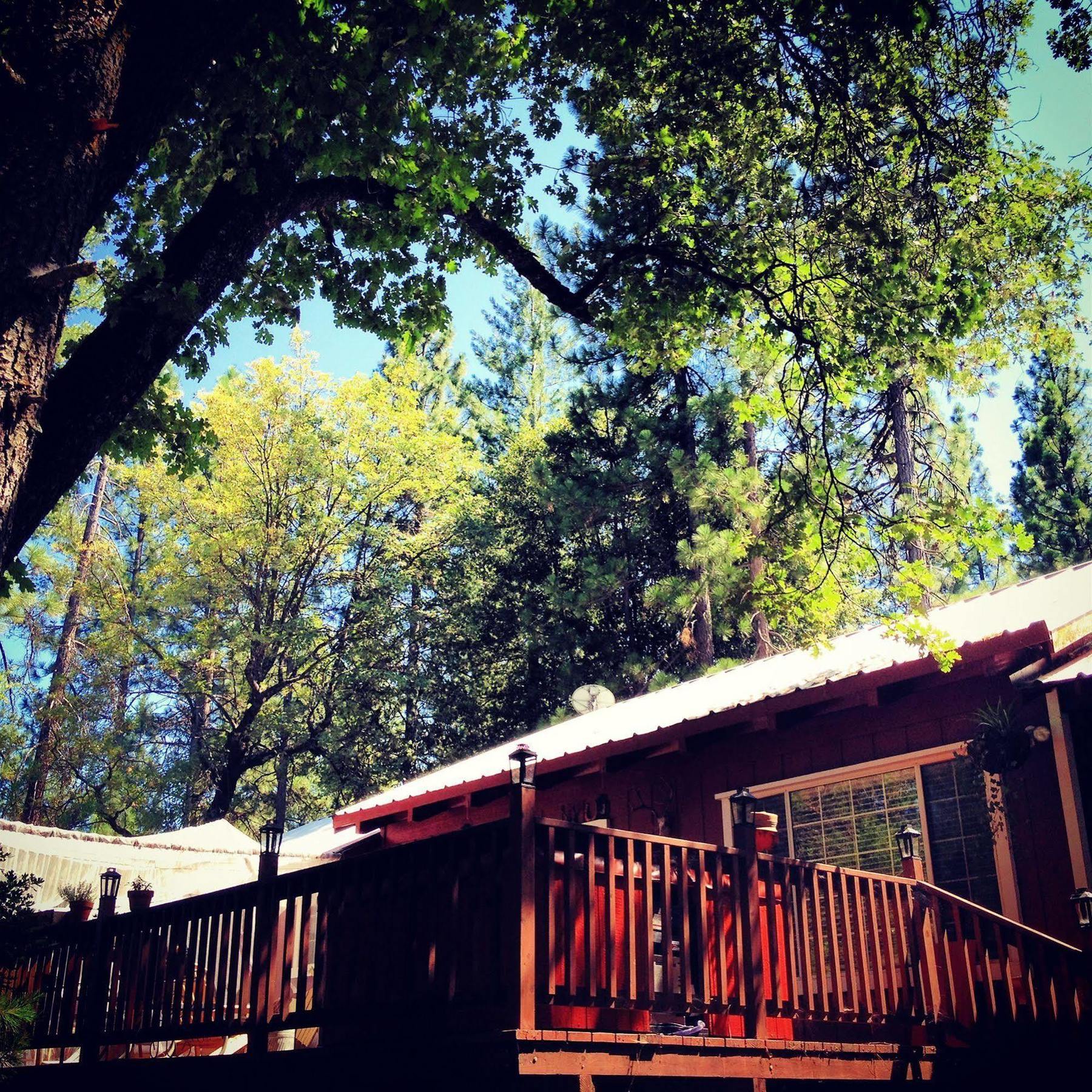 The Red Rooster Lodge Coulterville Εξωτερικό φωτογραφία