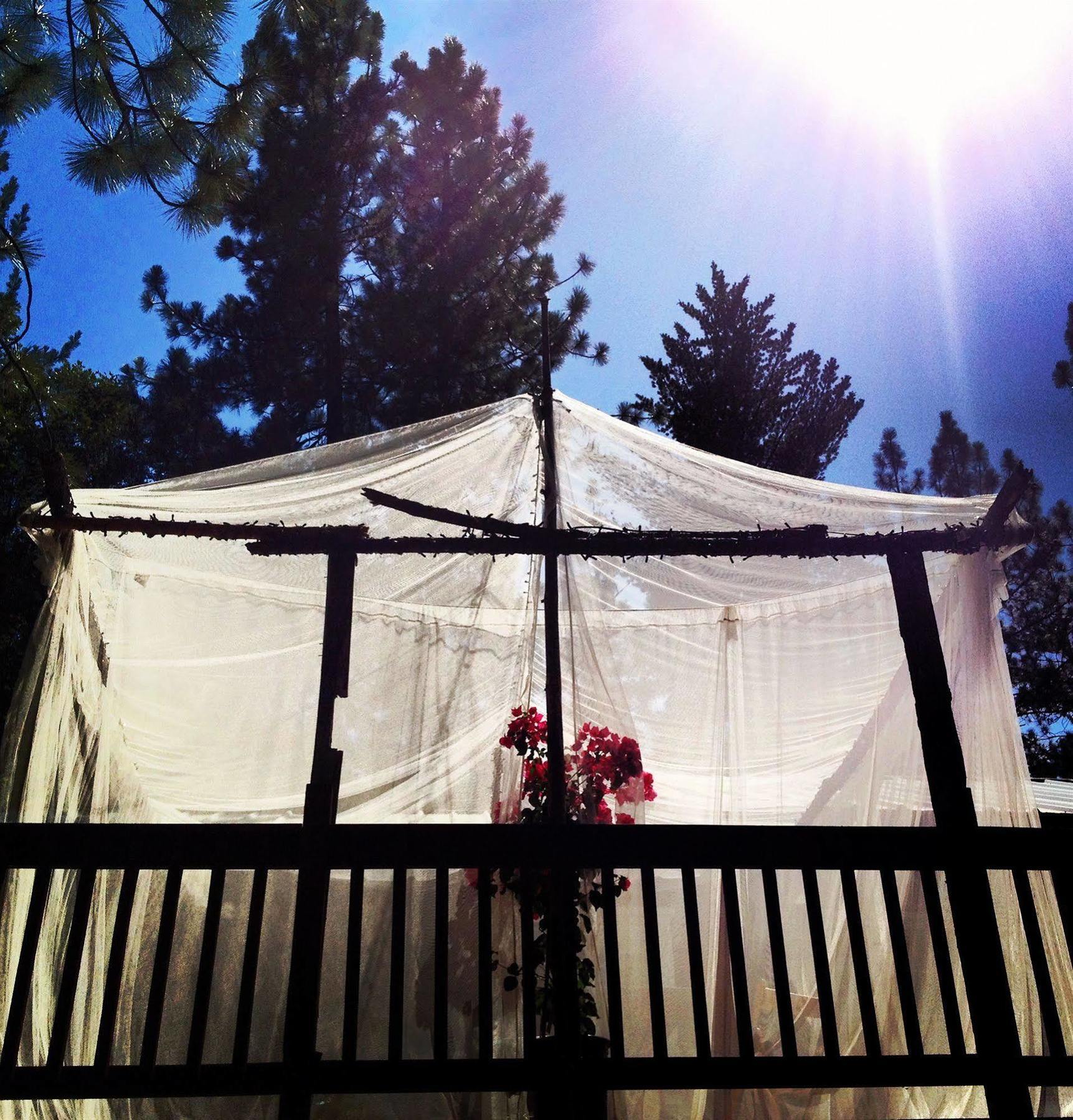 The Red Rooster Lodge Coulterville Εξωτερικό φωτογραφία