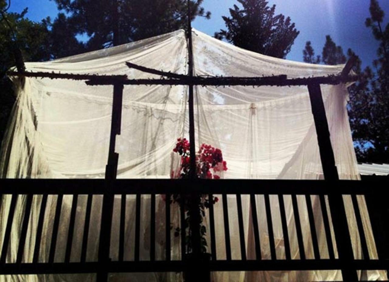 The Red Rooster Lodge Coulterville Εξωτερικό φωτογραφία