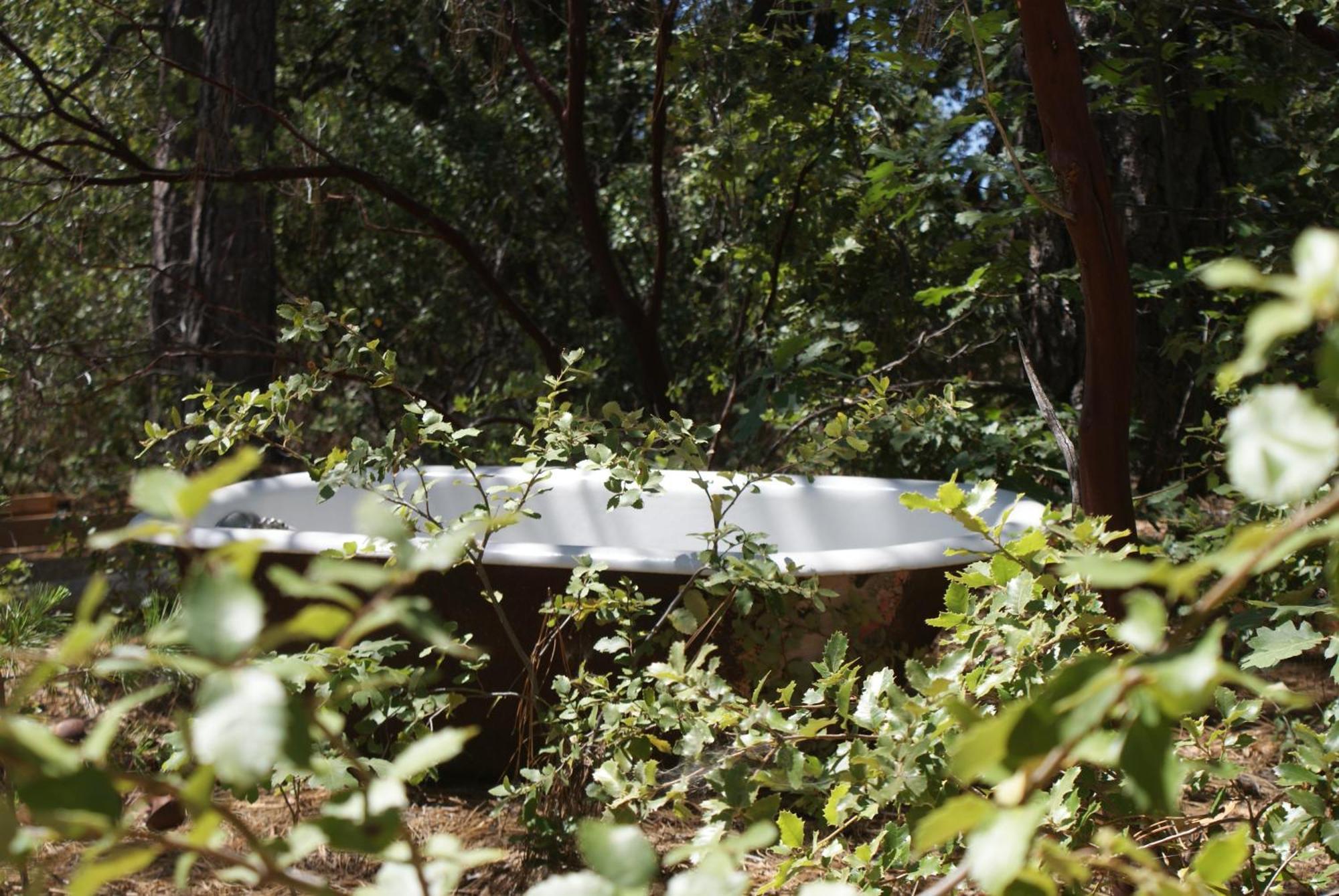 The Red Rooster Lodge Coulterville Εξωτερικό φωτογραφία